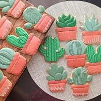 599515497_17871639411471711_5509680927288068921_n